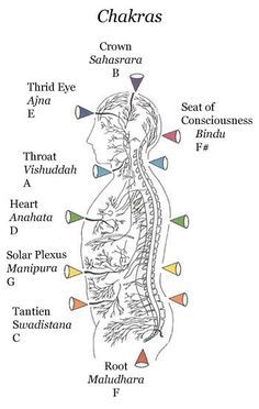 1597586df2c4acd6f5564dd8a5e503c9